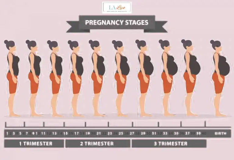 First Trimester (Weeks 1–12): Early Changes You Might Not Notice Byfleet